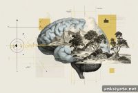 How the Brain Maps Objects vs Space During Perceptual Shifts