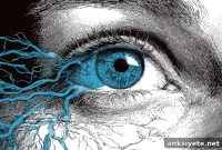 How Your Eyes Are More Connected Than Textbooks Claim