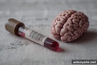 Blood Test Predicts Alzheimer’s Risk Years Before Brain Scans