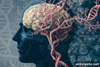 Brain Organoids Reveal Personalized Therapy for Rett Syndrome