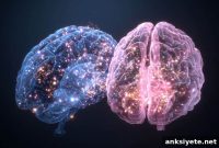 Why Men and Women Assess Mental Risk Differently