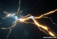 Designing Neural Implants to Reduce Brain Scarring