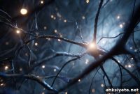 New Blueprint Reveals Roadmap to Brain Repair