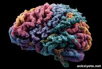 How Glutathione Prevents Protein Aggregation in Cells