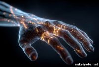 SP8 Discovery Unlocks Path to Human Limb Regeneration