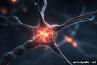 New Molecule Linked to Alzheimer’s Brain Inflammation