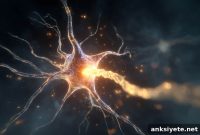 Astrocytes Offer a New Treatment Target for Fragile X Syndrome