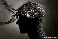 How Positive Feedback Loops Stifle New Ideas