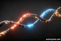 Single Protein Switches Roles to Build Brain and Blood Vessels