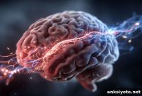 GLP-1 Drugs Rewire Brain Reward System, Study Finds