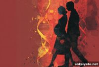 Study Shows Progesterone Alters Gene Activity in Male Brains