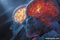 How the Brain Buffers Loss to Build Mental Resilience