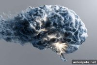 Emotional Labeling Lowers Anxiety in People with Autism