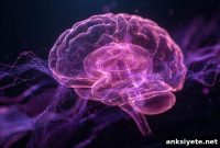 Brain Histamine System Map Ties Molecule to ADHD and Depression