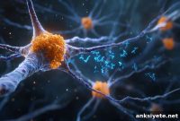 Blocking a Key Protein Slows Parkinson’s Disease Progression