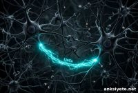 How Synapses Rewire Around Damaged Brain Connections