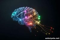 How Genes Shape the Brain’s Wiring