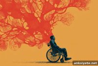 Spinal Cord Injury: A Disrupted Brain-Body-Environment Loop