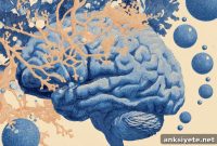 How the Brain Filters Calcium to Encode Memories