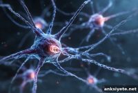 New Drug Target Could Reverse Fragile X Syndrome