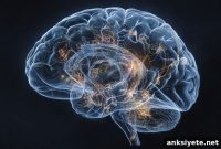 Neural Switch Controlling Recent Memory Retrieval Discovered