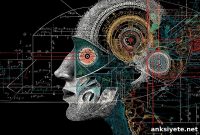 How Physics Equations Map Memory Distortions in the Brain