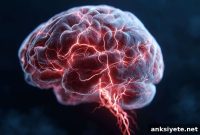 Long COVID Brain Inflammation Declines Months After Infection