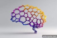Serotonin Reduces Belief Rigidity in OCD, Study Finds