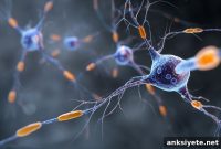 Blood Protein Biomarkers That Predict Early Multiple Sclerosis