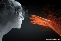 How the Rubber Hand Illusion Modulates Embodied Cognition