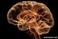 CLPTM1L Scramblase Linked to Glioblastoma Progression