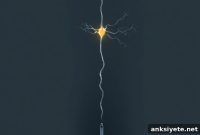 Neuropixels Opto Probe Redefines Brain Recording