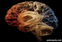 AI Identifies Early Epilepsy Markers in EEG Signals