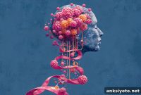Preventing Cognitive Decline Caused by Cancer Drugs