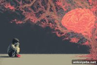How the Timing of Childhood Trauma Rewires Fear Circuits