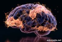 AI Predicts Brain Tumor Molecular Subtypes in 12 Minutes