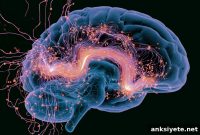 Histamine Waves in the Hypothalamus Gate Memory Access