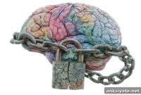 Cerebellar Matrix Failures Disrupt the Brain’s Social Circuits