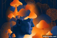 Psilocybin Restores Lost Memories in Alzheimer’s Patient