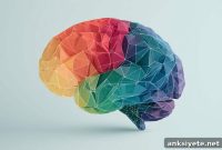 Neural Attention Networks Predict Adult Language Learning