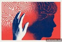 Behavioral Mapping Reduces Hallucinations in Alzheimer’s Psychosis