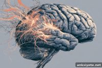 Brain Inflammation May Drive Chronic Depression and Anxiety