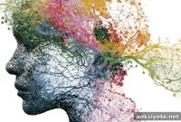 Network Mapping Finds 641 Schizophrenia Risk Genes