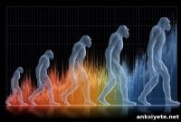 Why Human Body Size Suddenly Increased 2 Million Years Ago