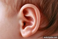 Genetic Links Between Meniere’s Disease and Ear Development
