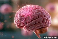 GABA Immune Pathway Fuels Brain Cancer Growth in Women