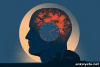 How Your Body Clock Controls Morning Metabolism and Calorie Burn