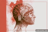 How Systemic Inflammation Alters Brain Function and Behavior