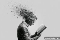 How Reading Boosts Brain Power and Sharpens Cognition