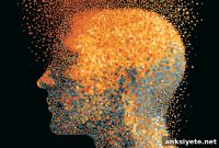 New Research Maps Global Patterns of Self Control